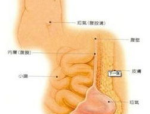 疝气贴能治好腹股沟疝气吗,疝气贴：颠覆传统治疗，治愈腹股沟疝气的神奇良方！